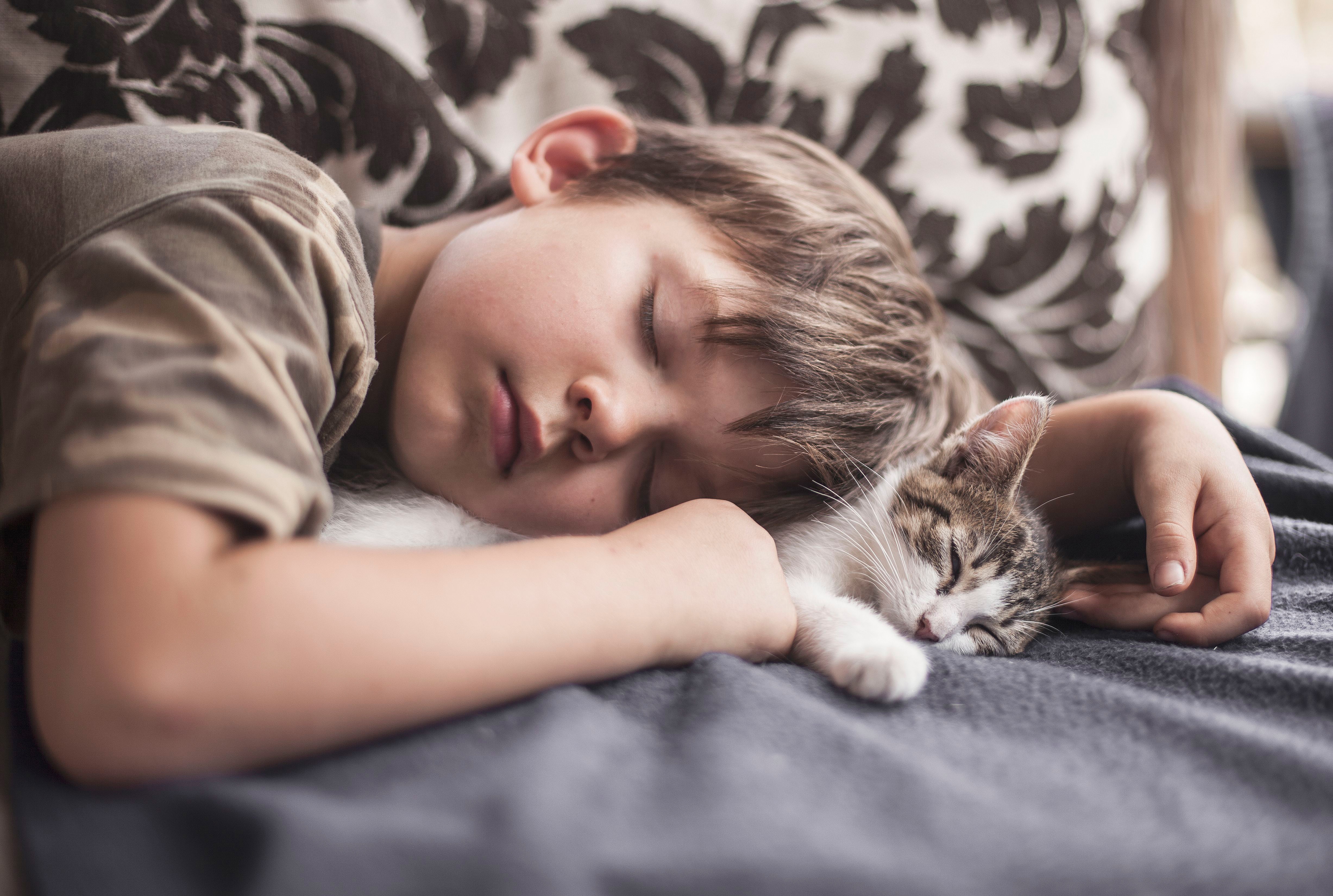 За стеной спят мальчики проблема. Спящий мальчик. Мальчик с котом.